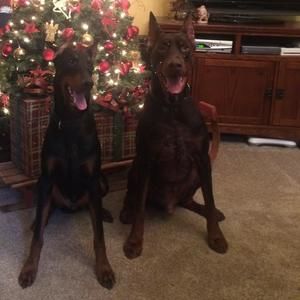 Meet your Posher, Rhonda